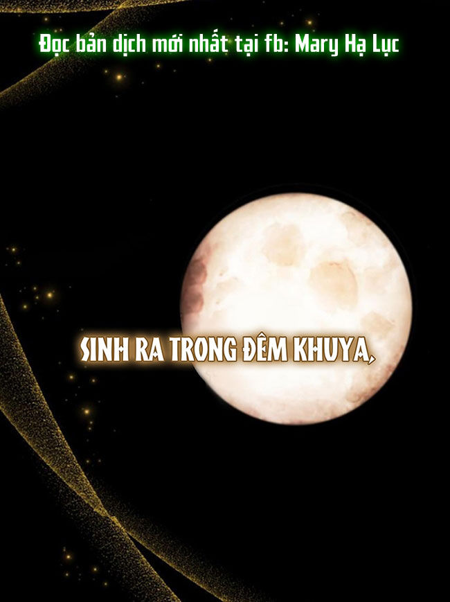 điệu nhảy say mê giữa màn đêm chapter 12.1 8