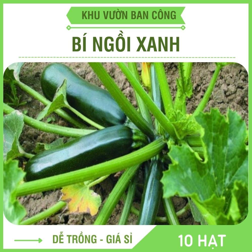 Hạt Giống Bí Ngồi Xanh Cao Sản, Rau Củ Qủa Trồng Ban Công Gói 2G - Khu Vườn Ban Công