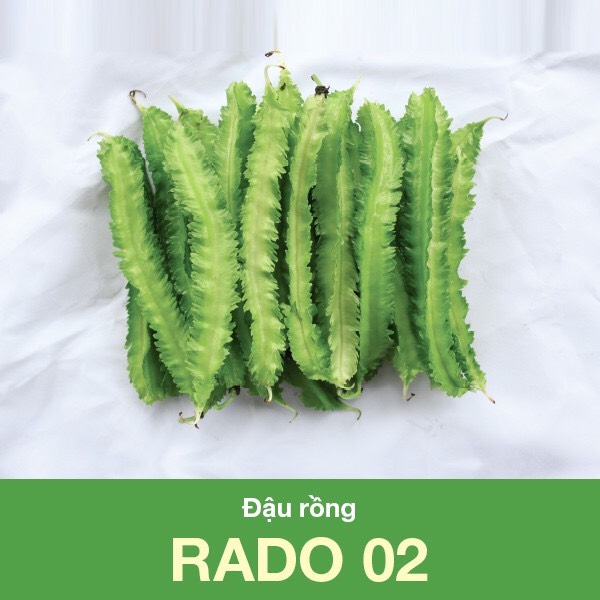 Hạt giống Đậu rồng 02