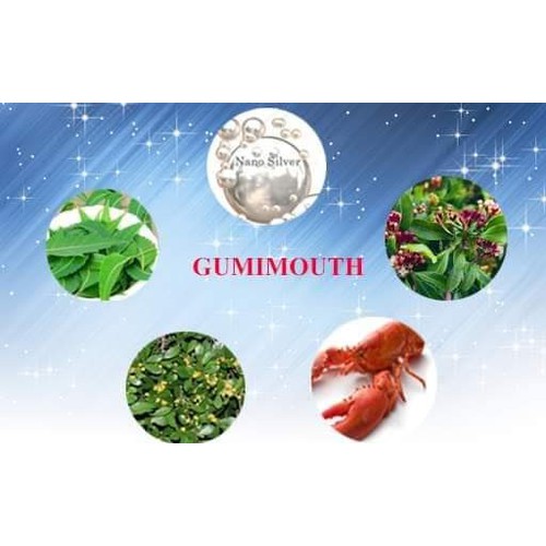 GEL LÀM SẠCH MIỆNG &amp; KHÁNG KHUẨN GUMIMOUTH (15g)