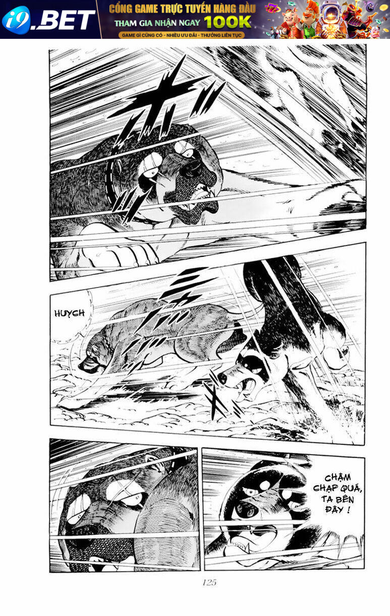 chú chó có nghĩa - ginga nagareboshi gin chapter 33 19