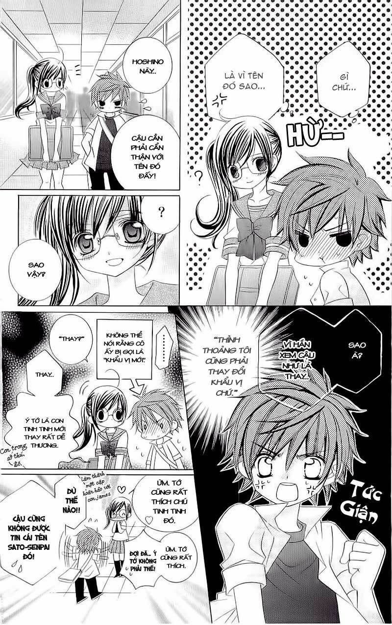 suki desu suzuki-kun!! chapter 8 22