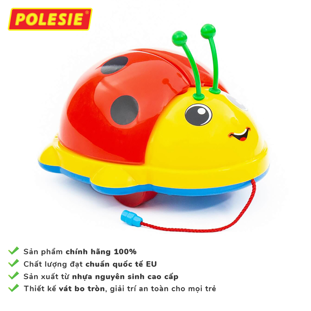 Đồ Chơi Cánh Cam Phát Nhạc, Đồ Chơi Giáo Dục, An Toàn, Phát Triển Tư Duy, Sáng Tạo Cho Bé - Polesie Toys 9158