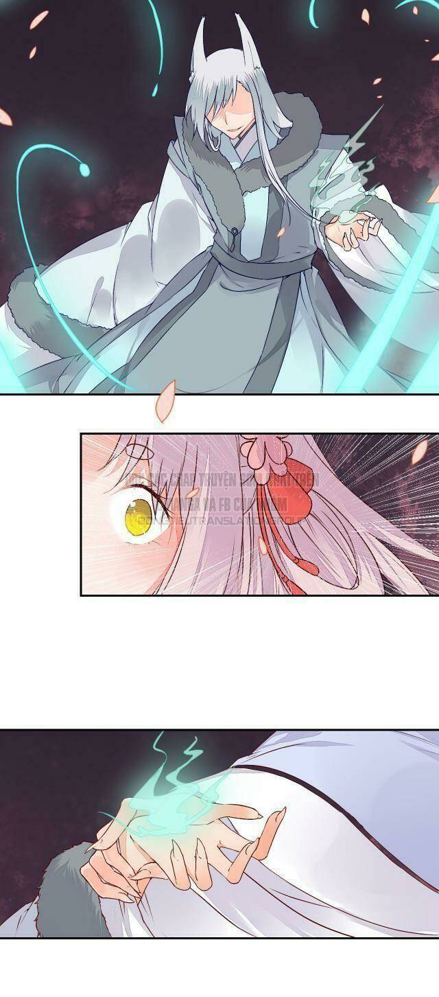 đốt đào hoa chapter 49 14