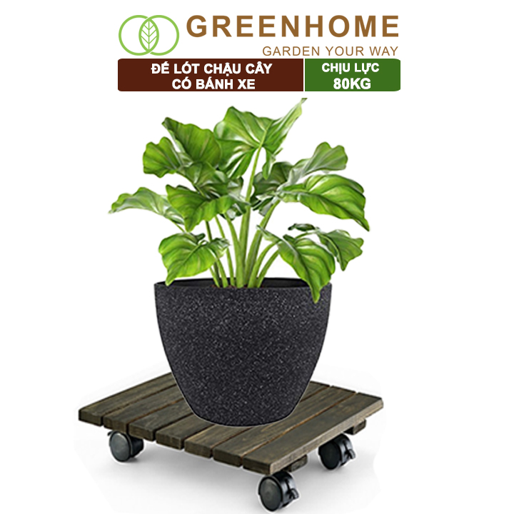 Đế lót chậu cây có bánh xe, bằng gỗ, chịu lực 80kg, R30xC8cm |Greenhome