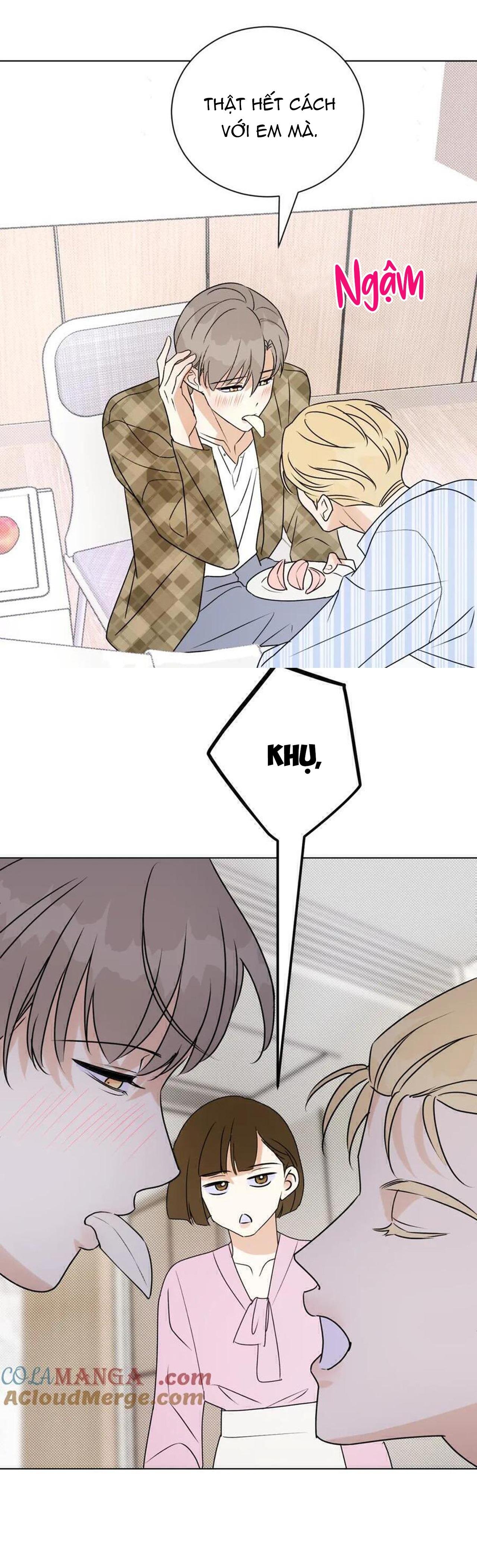 anh trai rẻ tiền của tôi chapter 63 13