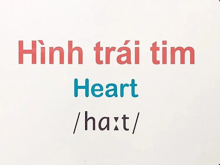 Flashcard Thế Giới Quanh Em: Màu Sắc Và Hình Khối - Colors & Shapes