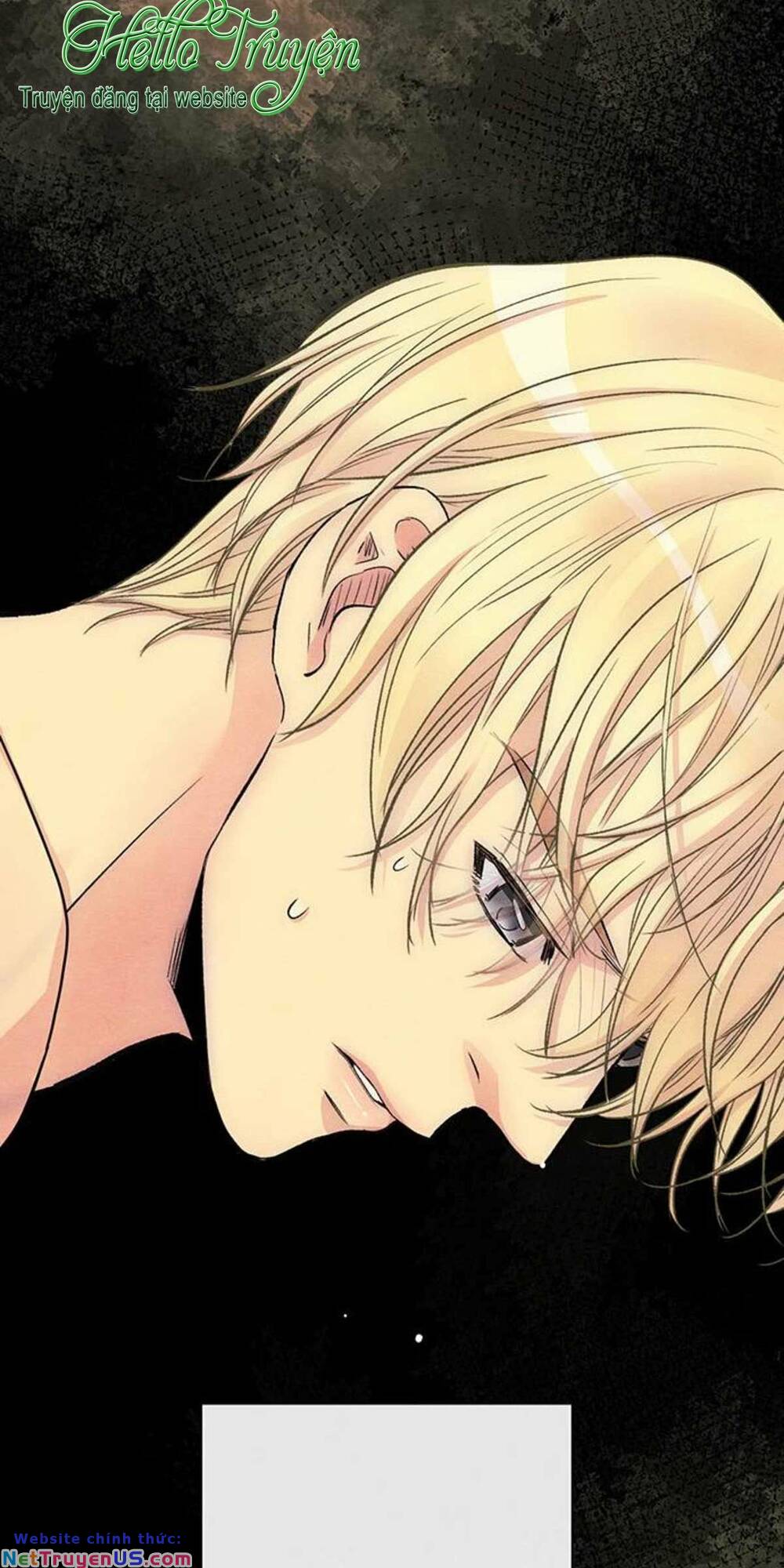 Hoàng Tử Rắc Rối chapter 35.2 15