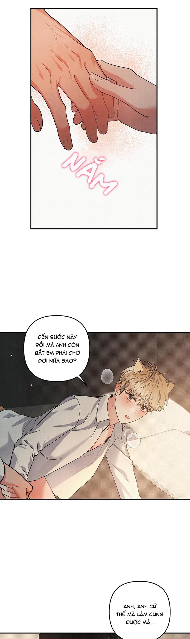 mối quan hệ ngu ngốc chapter 62 14