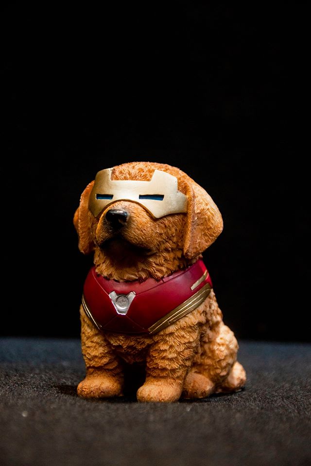 Mô hình trưng bày chó cute cosplay super hero