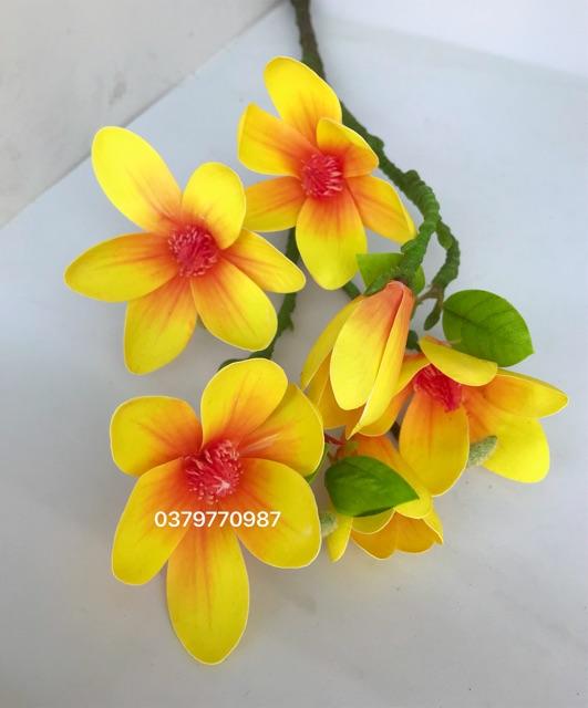 Hoa lụa - Cành hoa mộc lan cao su 6 bông