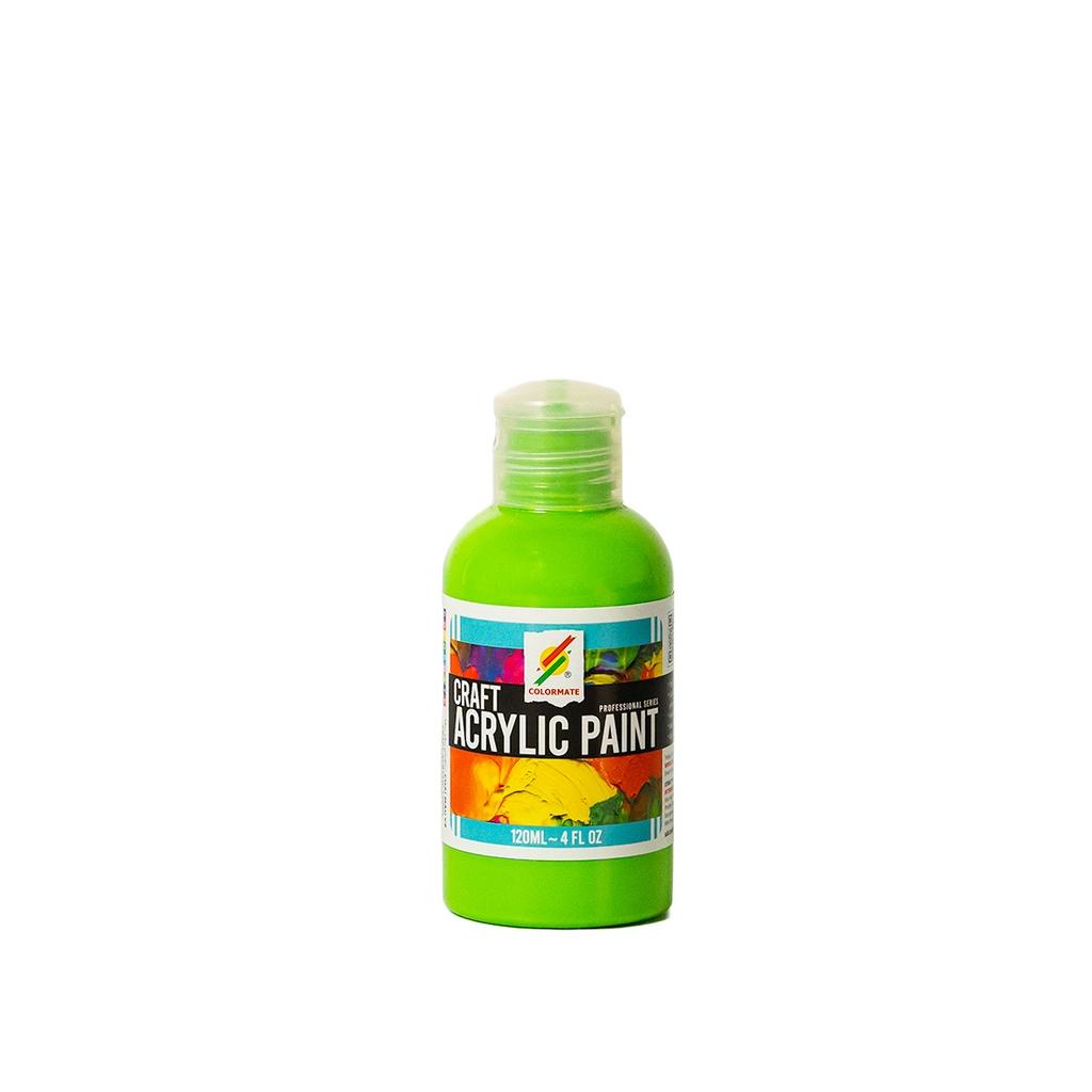 Màu vẽ Craft ACRYLIC chai 120ml - COLORMATE