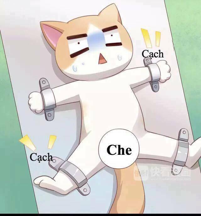 dưới móng vuốt mèo chapter 17 42