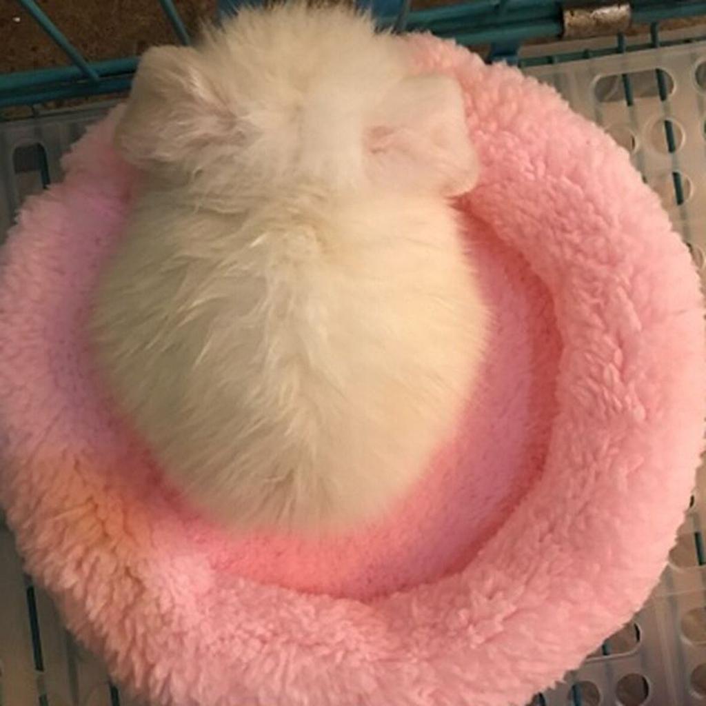 Hamster Mat Sleep Hammock Seat Pad for Guinea Pig Rabbit Small Animal Pink