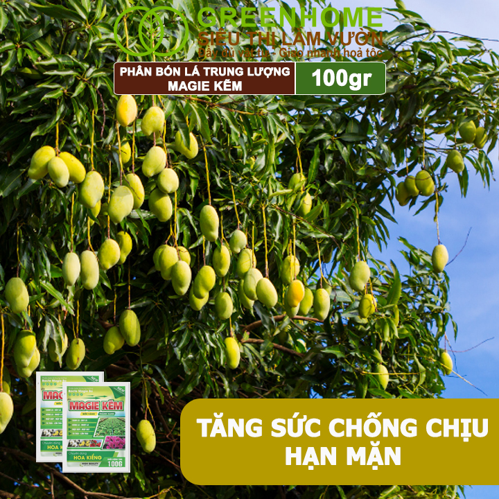 Phân Bón Lá Magie Kẽm, GreenHome, Gói 100GR, Chuyên Dùng Cho Hoa Kiểng