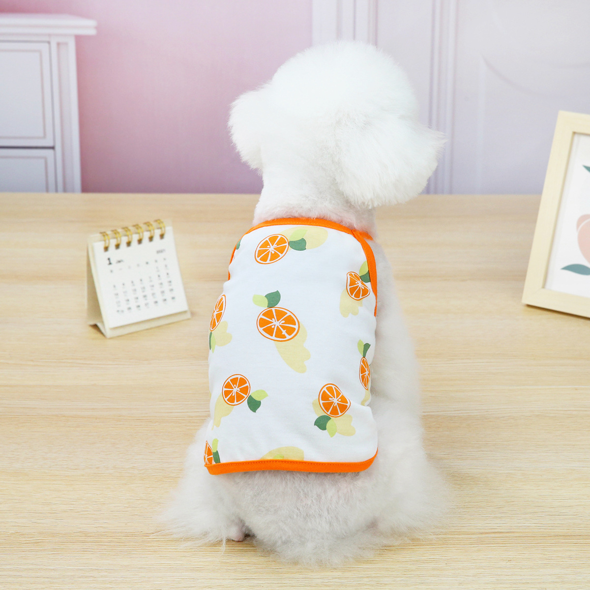 Áo hai dây ba lỗ thoáng mát cho chó mèo - Genyo pet clothes 085 ( các màu và mẫu giao ngẫu nhiên như trong hình )