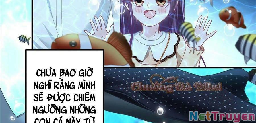 Bảo Bối Tâm Gan Của Lão Đại Xuyên Không Trở Lại Rồi Chapter 64 - Trang 2