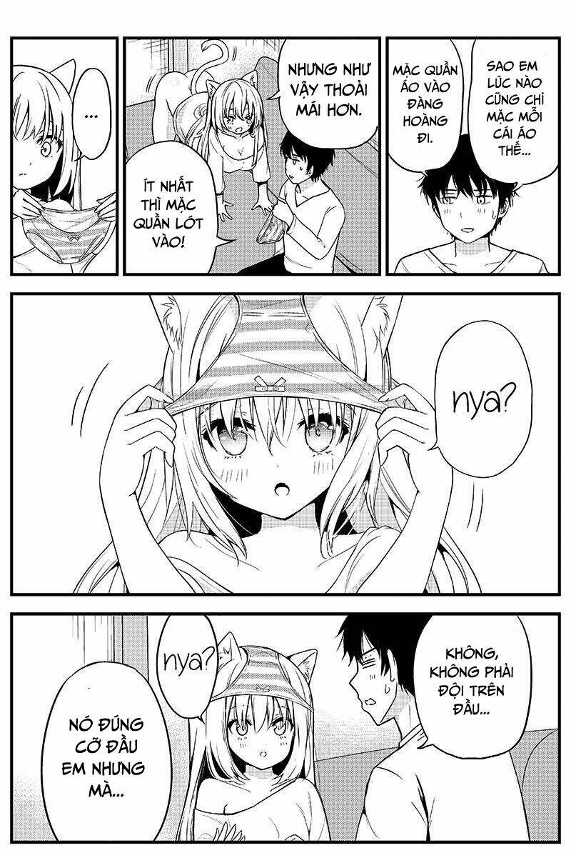 sabishigariya no muboubi nyanko chapter 1 2