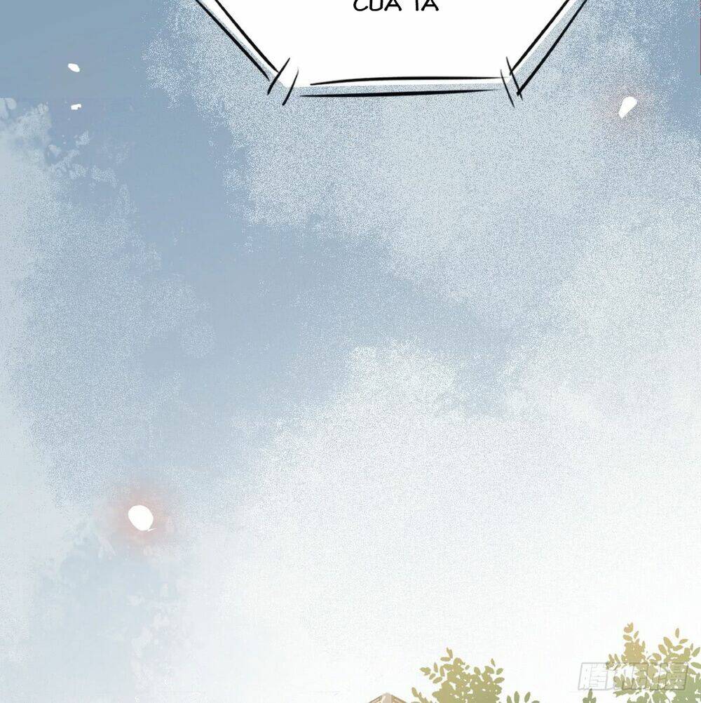 sát thủ vương phi không dễ chọc chapter 6.5 13