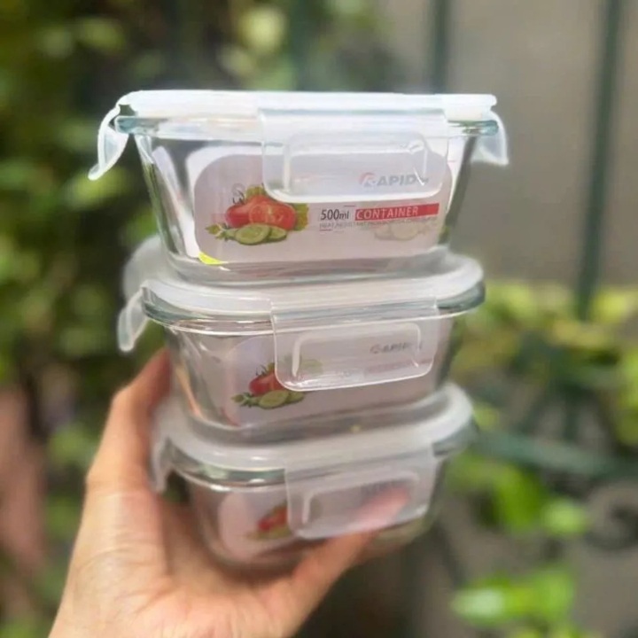 Bộ 3 bát thủy tinh 500ml có nắp kèm túi giữ nhiệt Rapido, hộp đựng thực phẩm thủy tinh chịu nhiệt cao - Hàng chính hãng