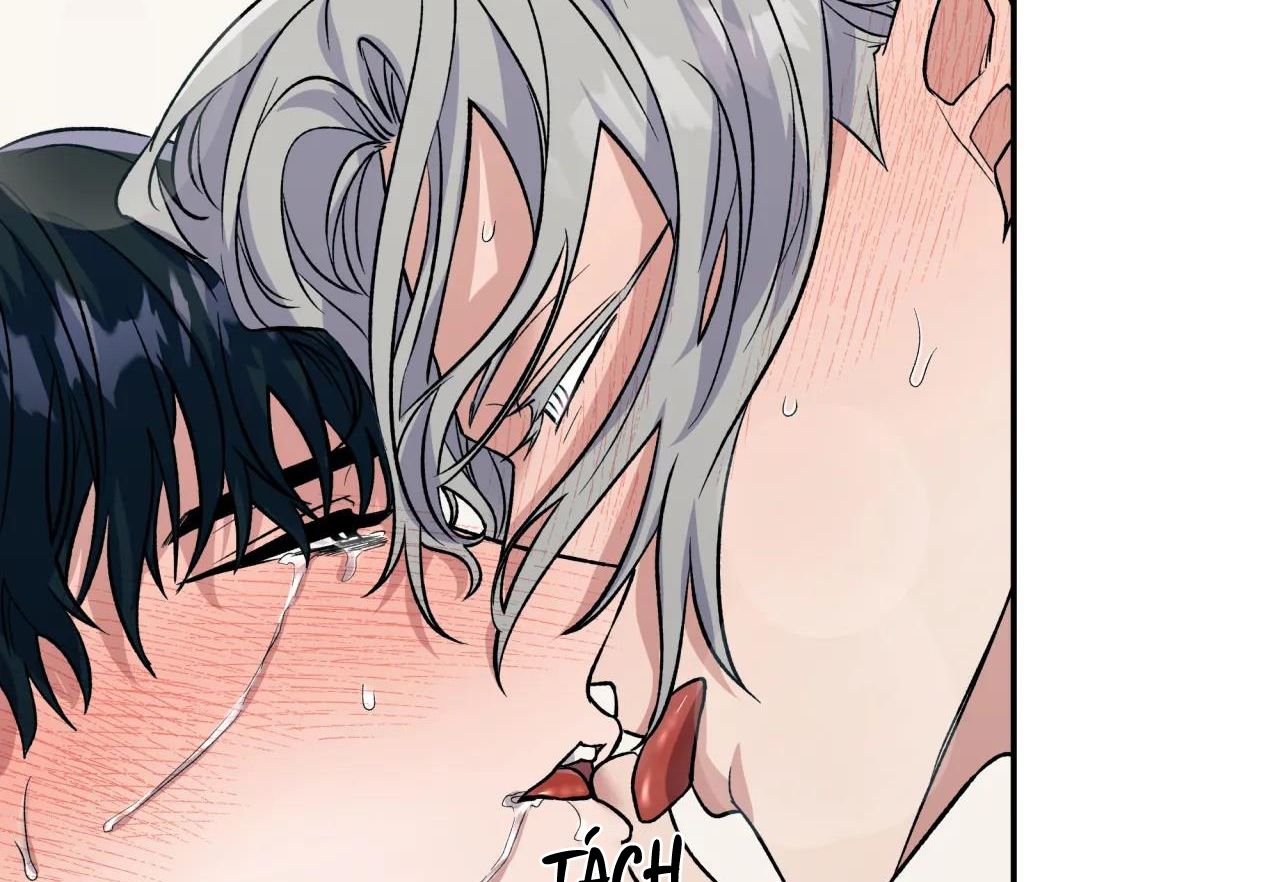 ám ảnh pheromone chapter 43 102