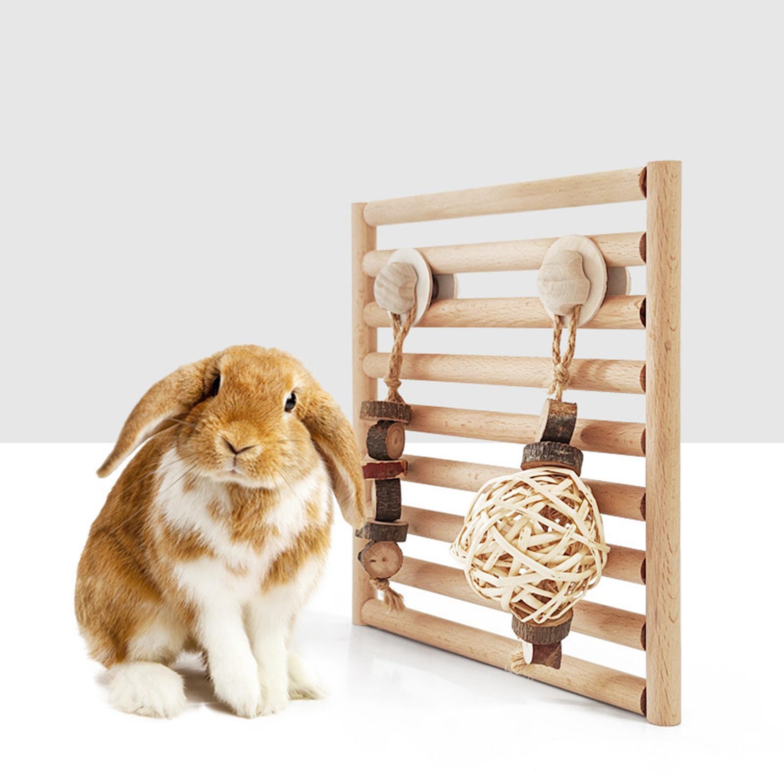 Rabbit Chew Toys, Wooden Doors, Exercise Biting Hamster Chew Toys for Bunny Small Animals