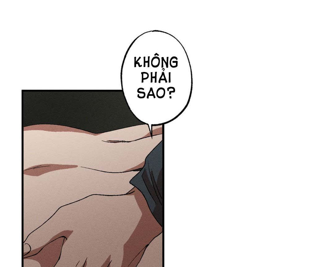 bẫy kép chapter 33.2 35