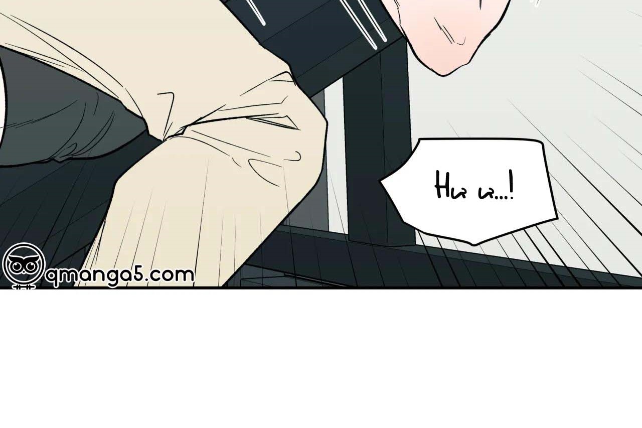 ám ảnh pheromone chapter 55 59