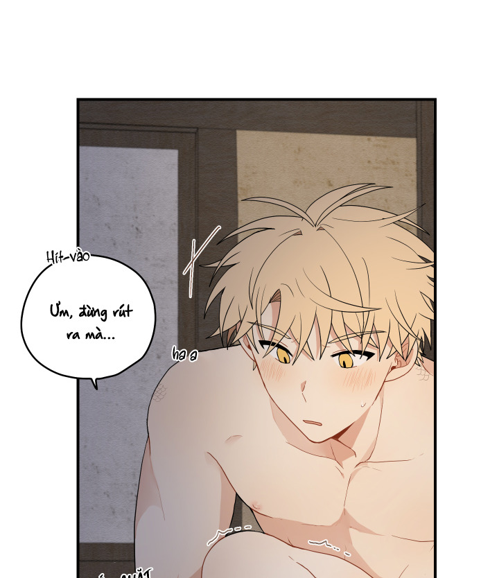 đường hoa liên kiều rơi chapter 17 77