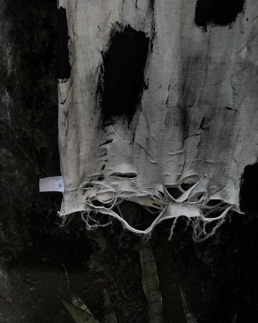 Áo Trắng Kem Đốm Ngắn Tay