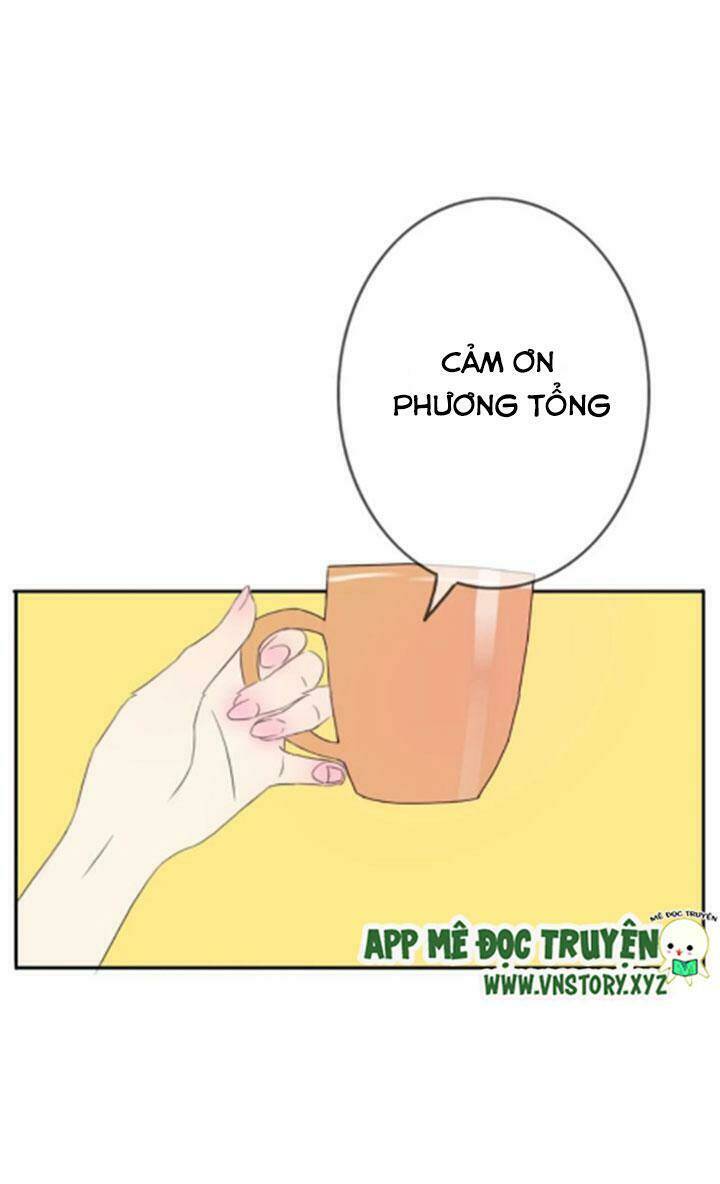 tình yêu không nói dối chapter 29 24