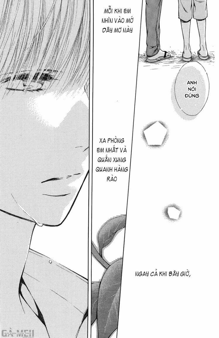 shokubutsu zukan chapter 1 39