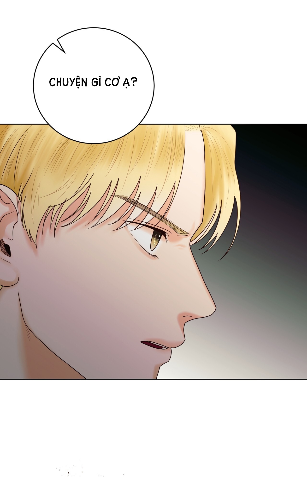 hợp đồng hôn nhân với hai người chồng chapter 14.1 20