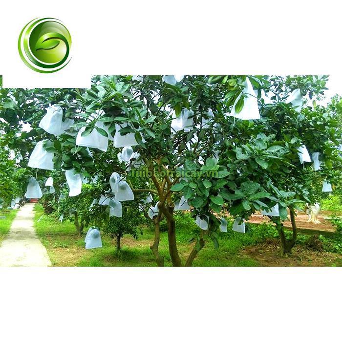 BỌC BƯỞI TÚI VẢI HÀNG LOẠI 1 SÉT 100 TÚI 25X30CM VẢI KHÔNG DỆT