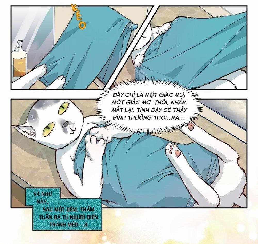 thời khắc ấy, chúng ta gặp nhau chapter 1 31