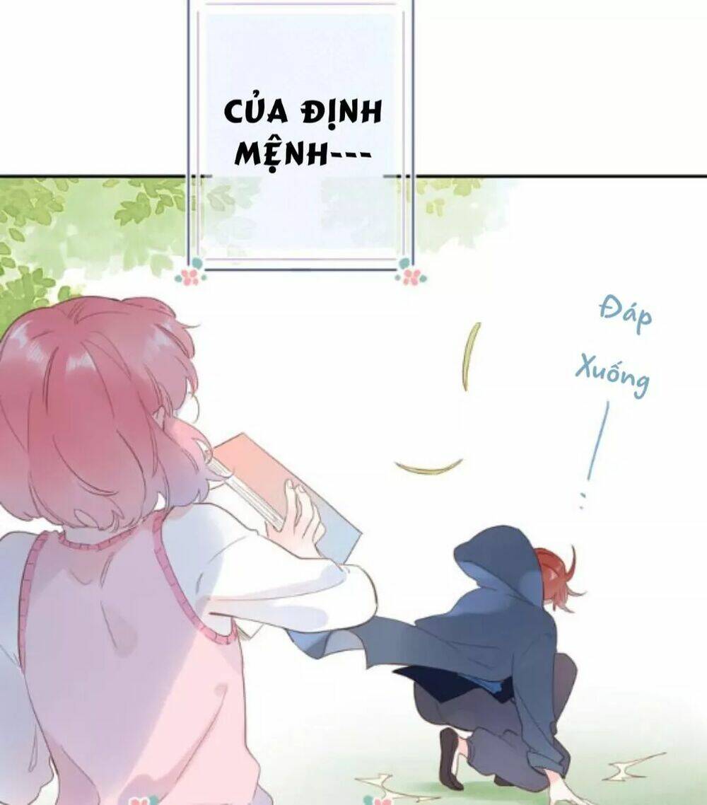 sos! tôi đã yêu một con sâu bướm (phần 2) chapter 57 17