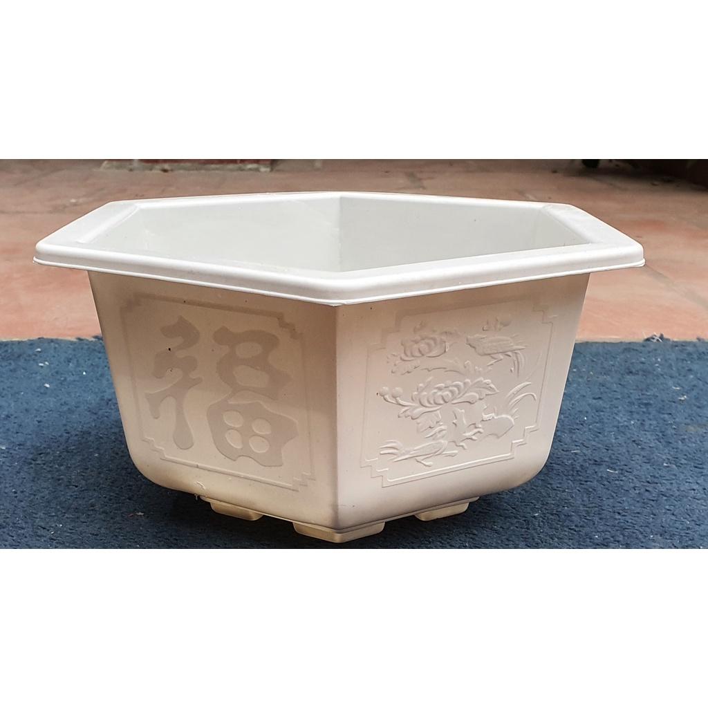 Chậu nhựa Bonsai Lục giác 280 đa sắc màu .