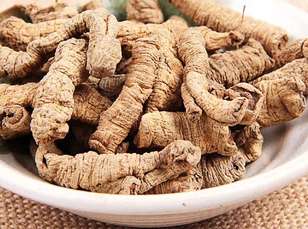 500g Ba Kích Tím Sấy Khô Đã Tách Lõi Nguyên Chất