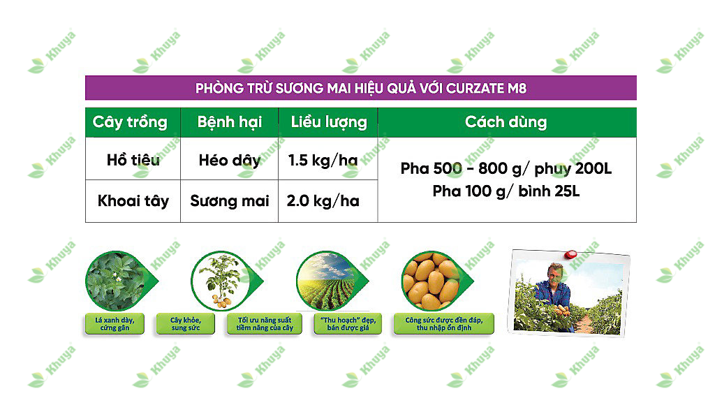 Thuốc trừ bệnh Corterva Curzate M8 72WP (gói 500gr) Nấm Bệnh trên Cây Trồng