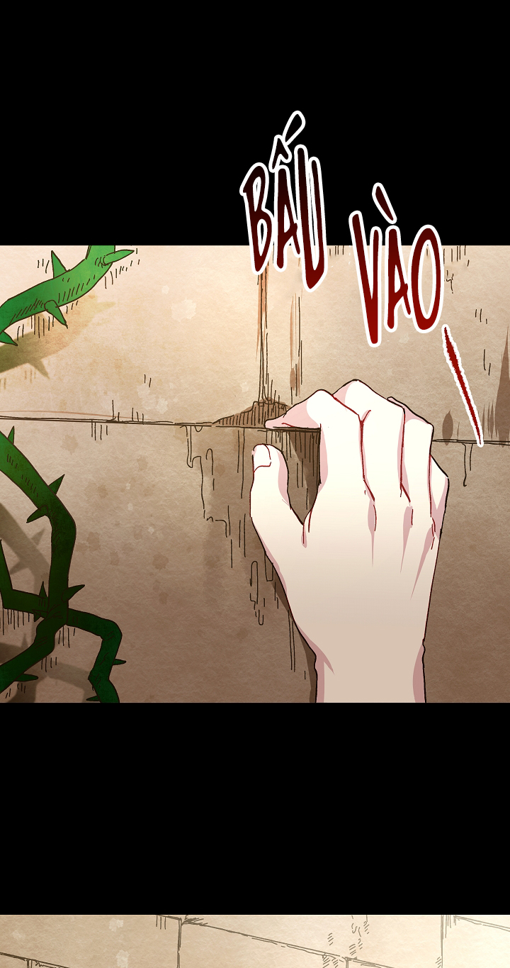 công chúa vờ như điên chapter 2 25