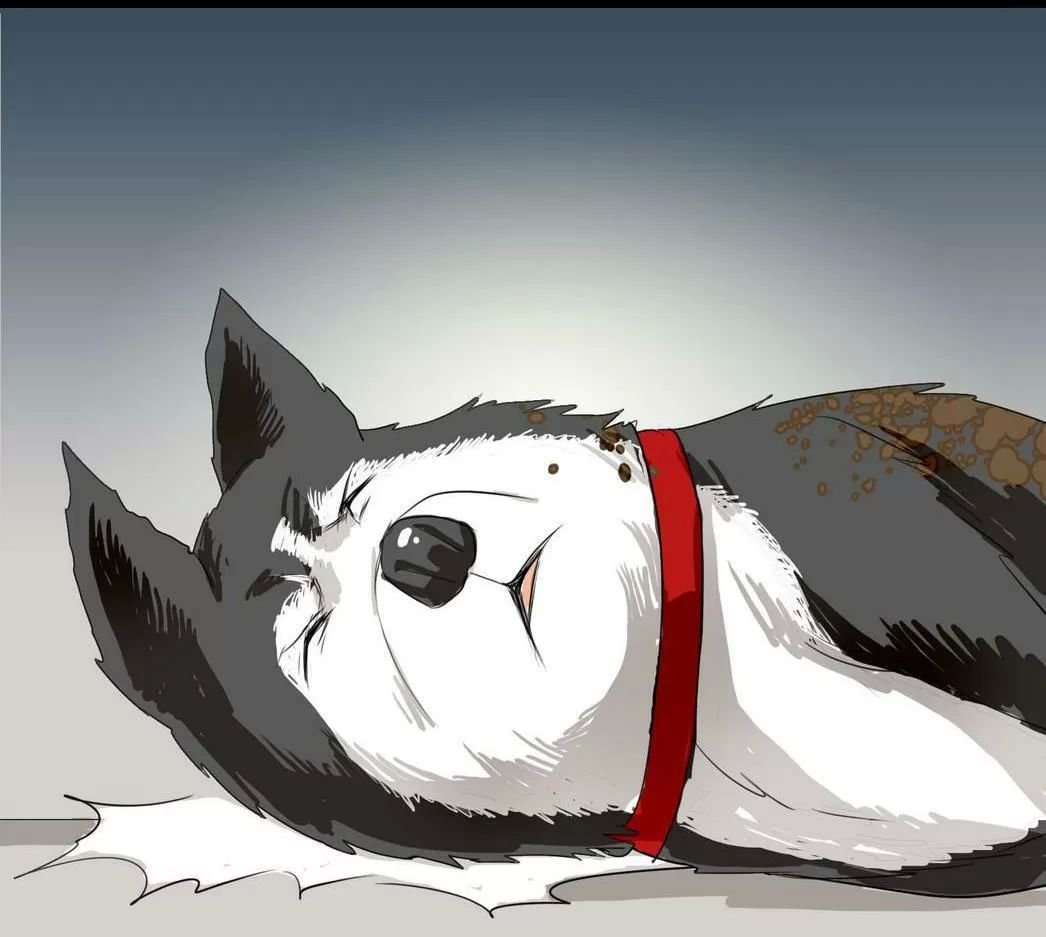 một con chó chapter 60 9