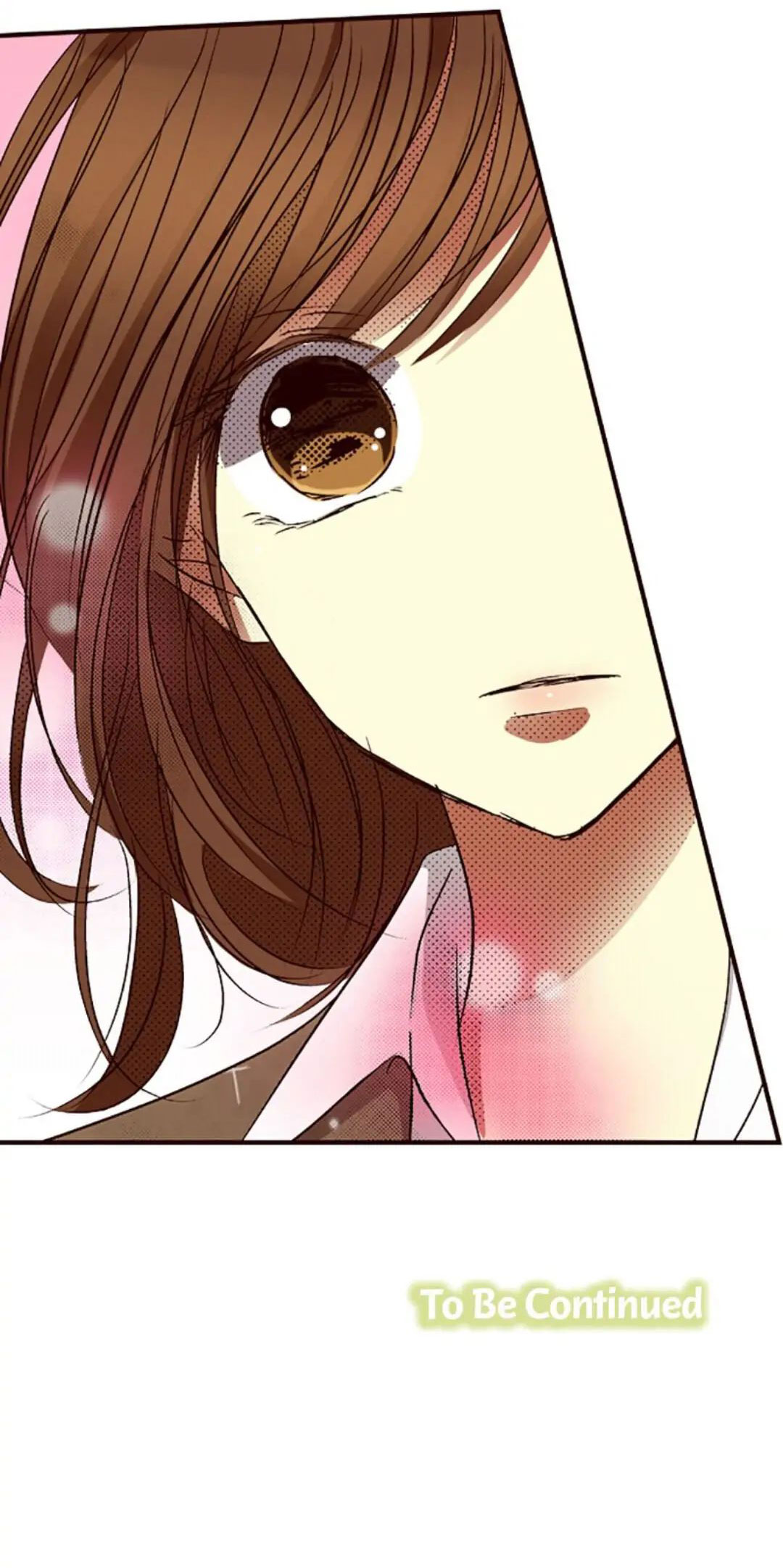 Tôi Ghét Nụ Cười Ấy chapter 9.2 - Trang 15