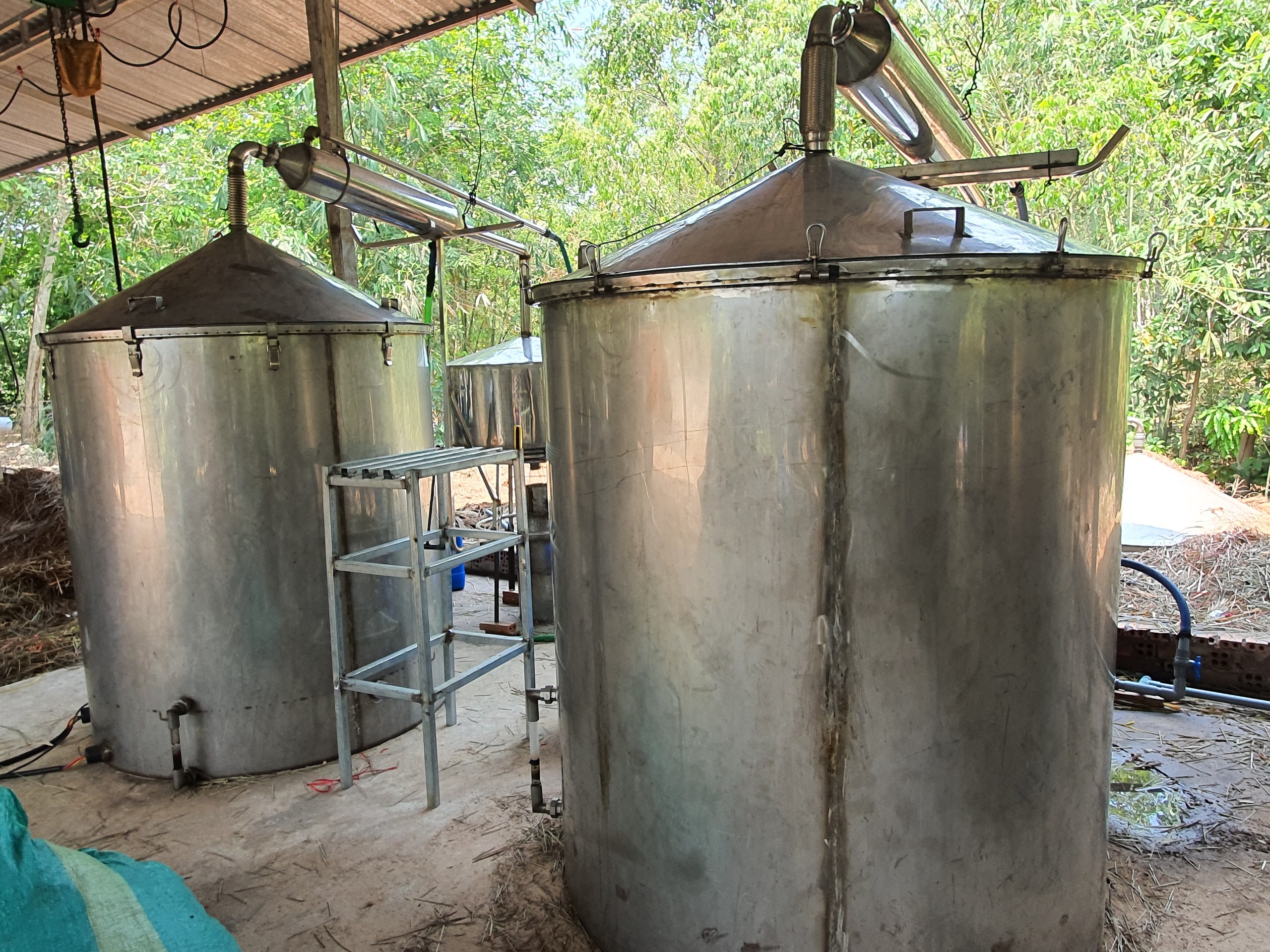 Tinh dầu Bạc hà chai 01Lít Mộc Mây - tinh dầu nguyên chất từ thiên nhiên - Có kiểm định - Chất lượng và mùi hương vượt trội