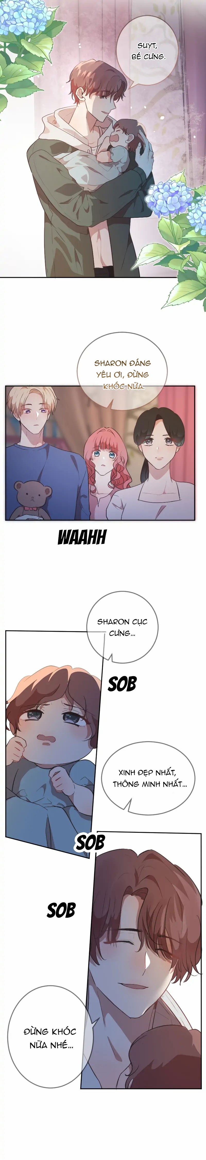 có lẽ em là của anh chapter 24.1 5