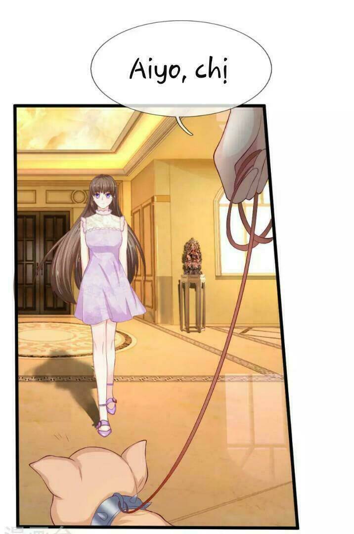 từ chối kết hôn với đại gia: cô dâu bỏ trốn chapter 47 13