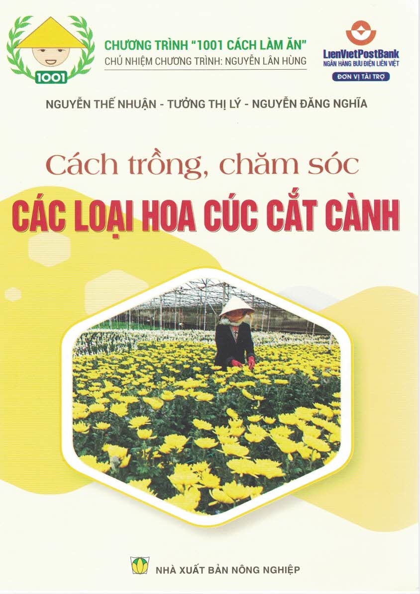 Cách Trồng, Chăm Sóc CÁC LOẠI HOA CÚC CẮT CÀNH