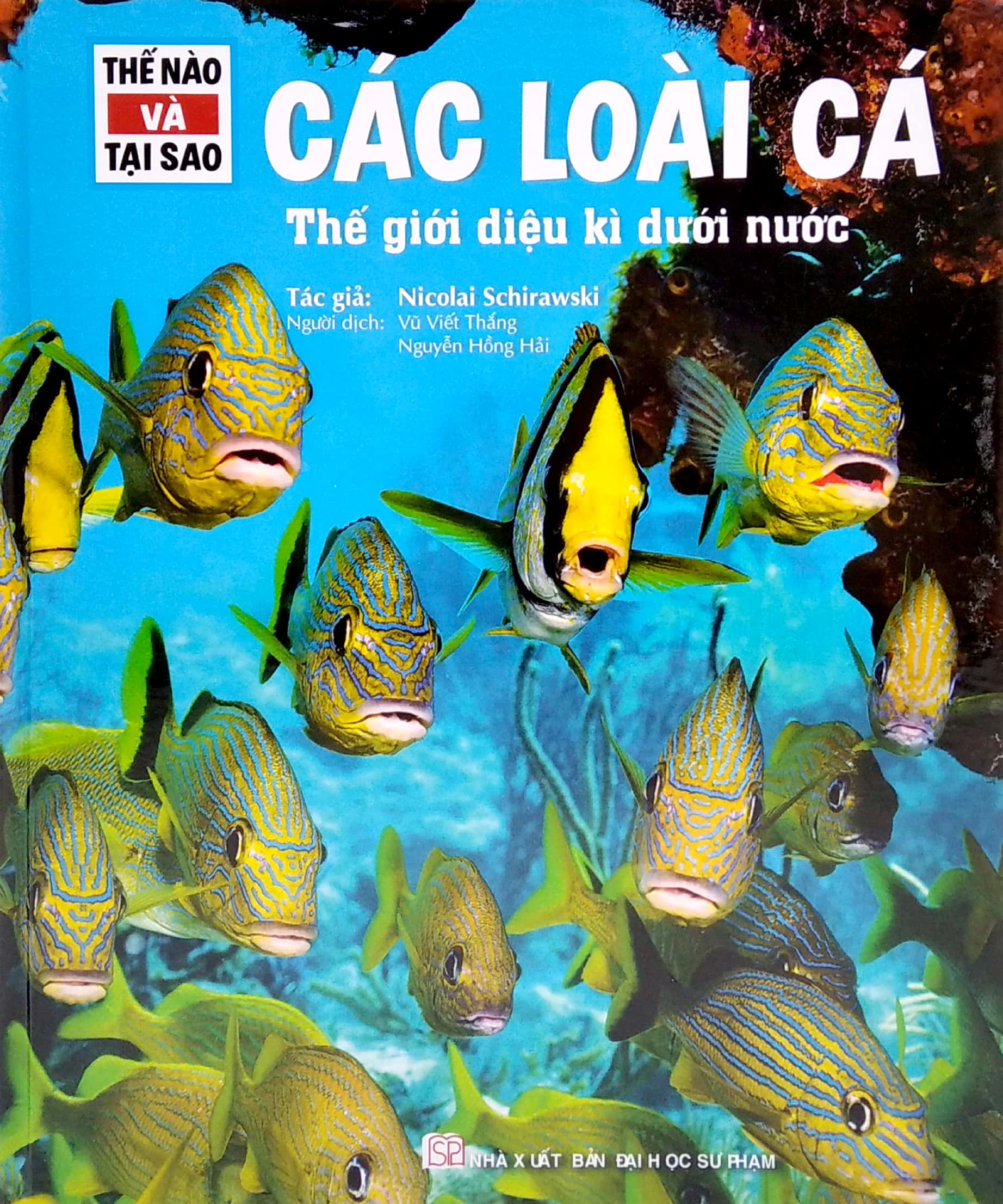 Combo sách Trọn bộ thế nào và tại sao - minhhabooks
