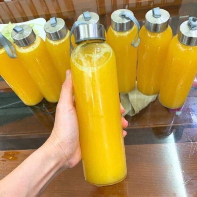 Bình Thủy Tinh 300ml & 500ml Đựng Nước Có Dây Xách Cao Cấp ZA14