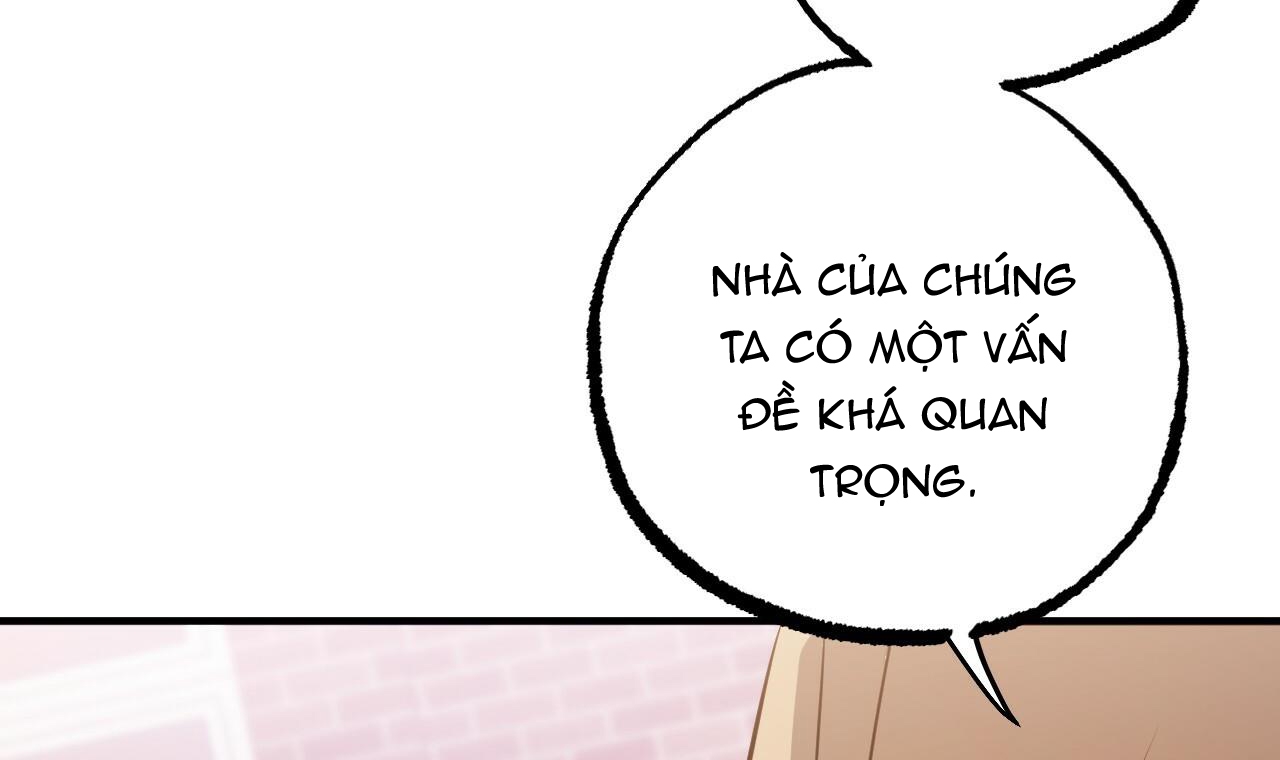 đàn thỏ của habibi chapter 37 166