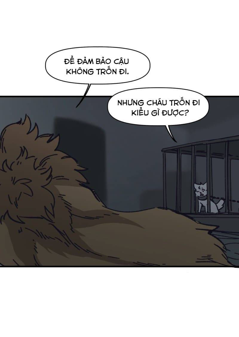 lumine - cội nguồn ánh sáng chapter 140 7